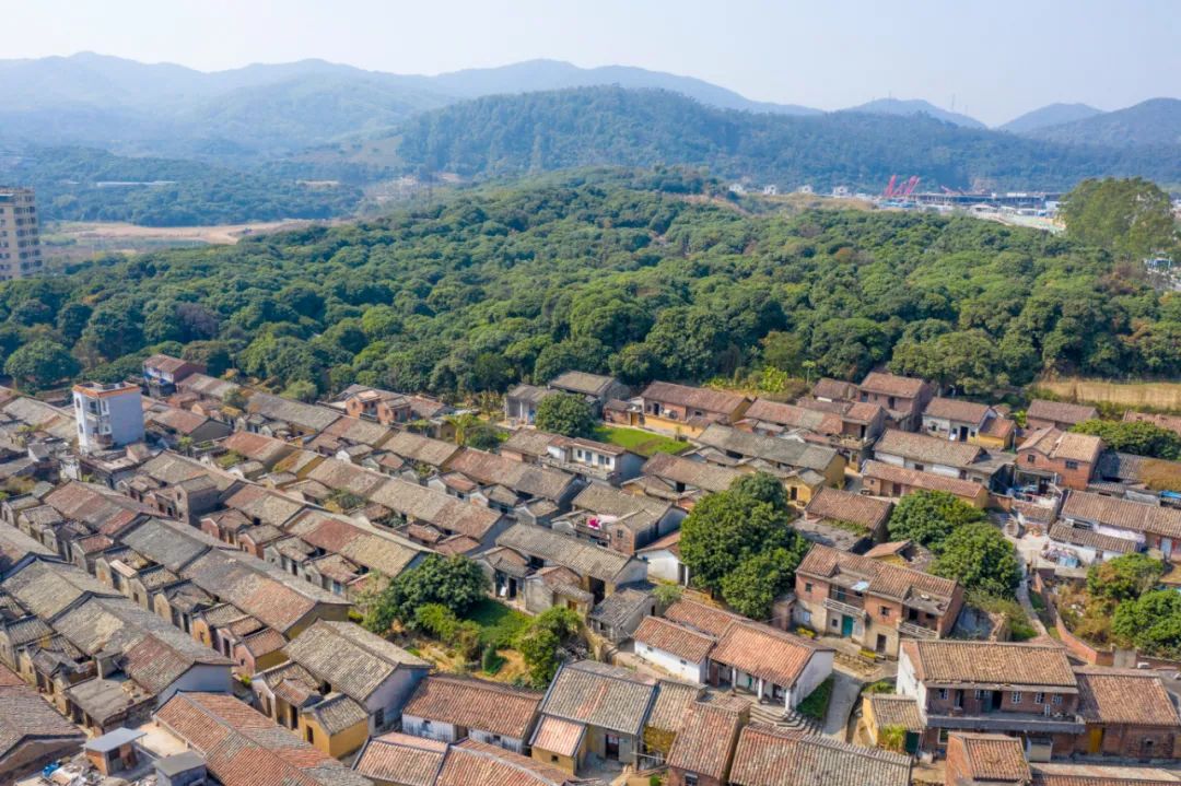 东莞这个地方“十佳景点”出炉！一起去打卡！