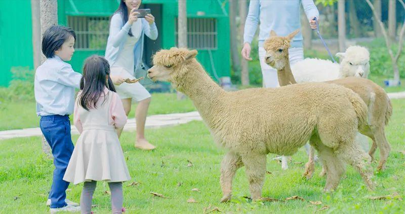 天打来回！留莞过年「周边游地图」，人少又好耍！"