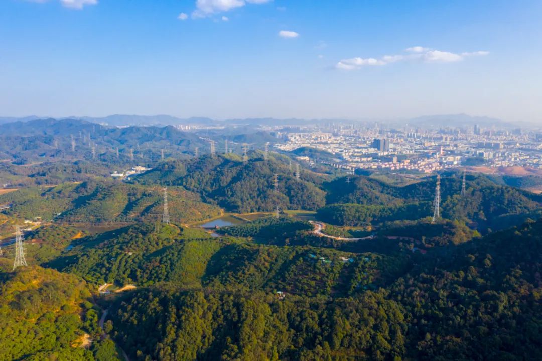东莞这个地方“十佳景点”出炉！一起去打卡！