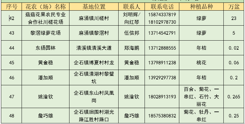 迎春花市关闭，年花年桔去哪儿买？东莞48个采购点超全攻略来了……
