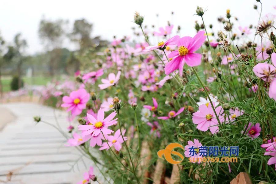 东莞人注意！上班时间有变！