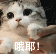 东莞上榜了！超越了北京上海！