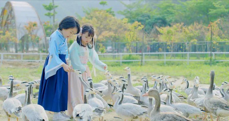 天打来回！留莞过年「周边游地图」，人少又好耍！"