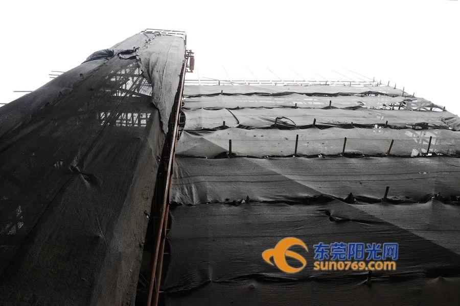 大别墅违建，照拆！东莞多镇再出手