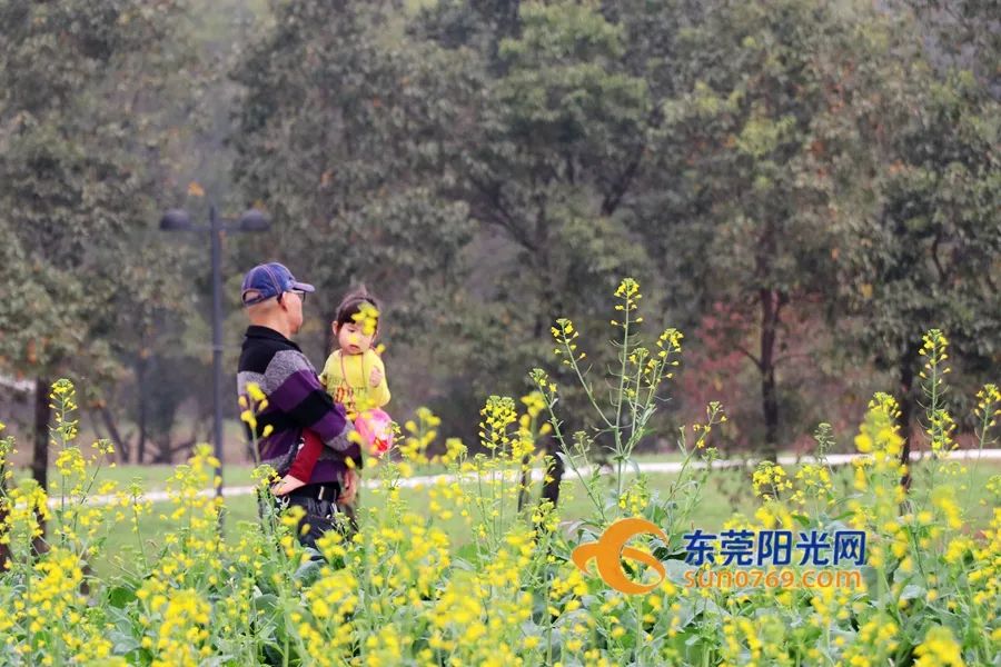 东莞人注意！上班时间有变！
