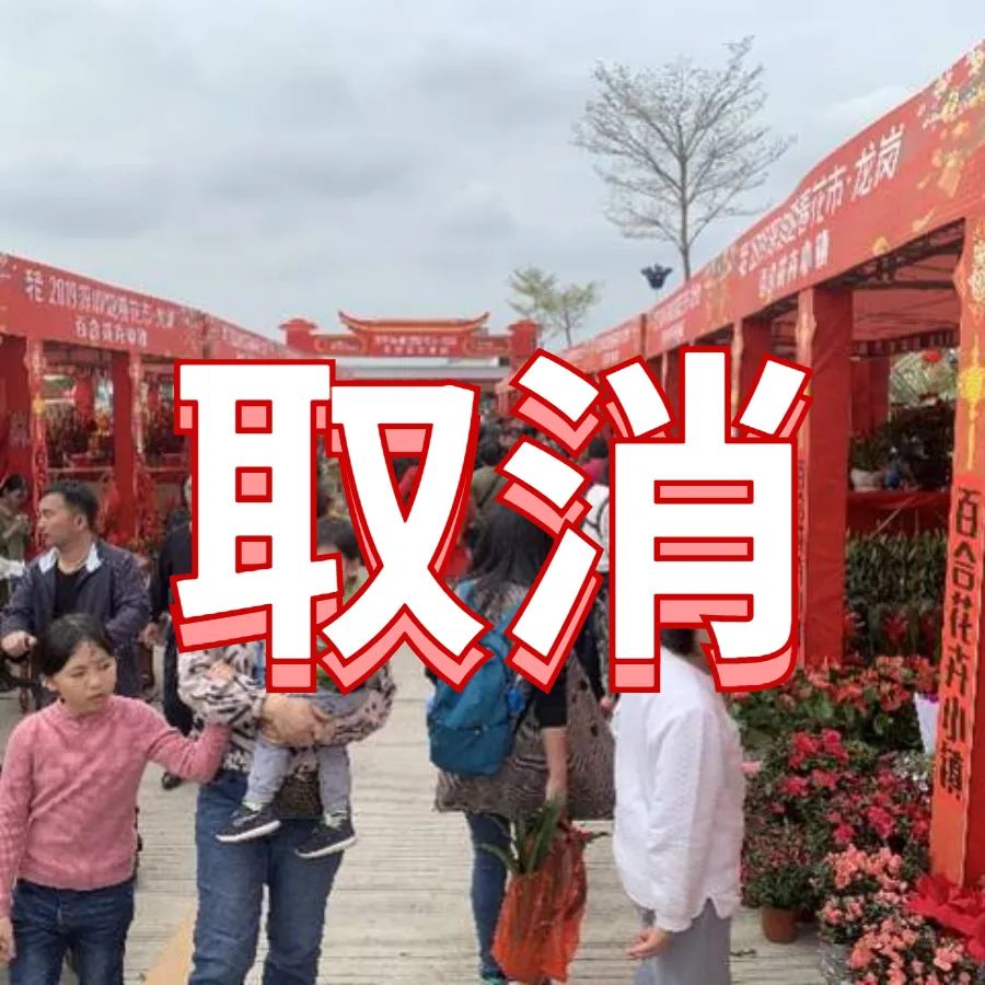 迎春花市关闭，年花年桔去哪儿买？东莞48个采购点超全攻略来了……