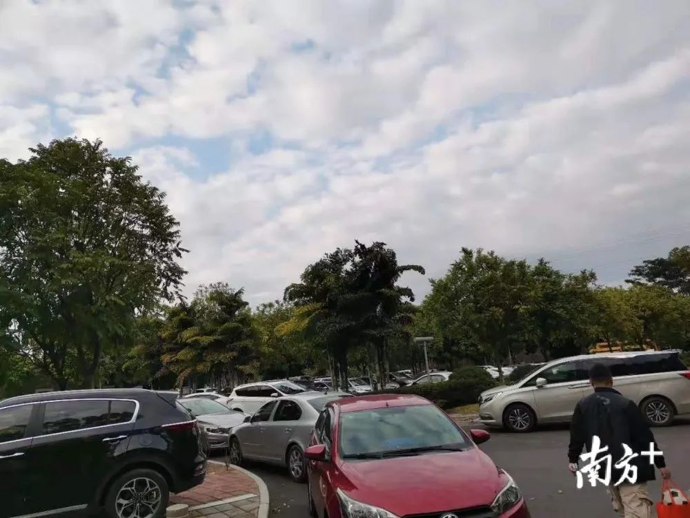 爆满预警！东莞这些地方都是人人人！刷爆了！