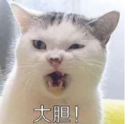 可恶！东莞男子妨害公务被抓！还砍伤两辅警！
