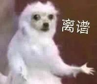 冷空气携雨水来“闹”元宵！