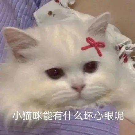 海底捞又出事了！这次东莞人真的怒了！
