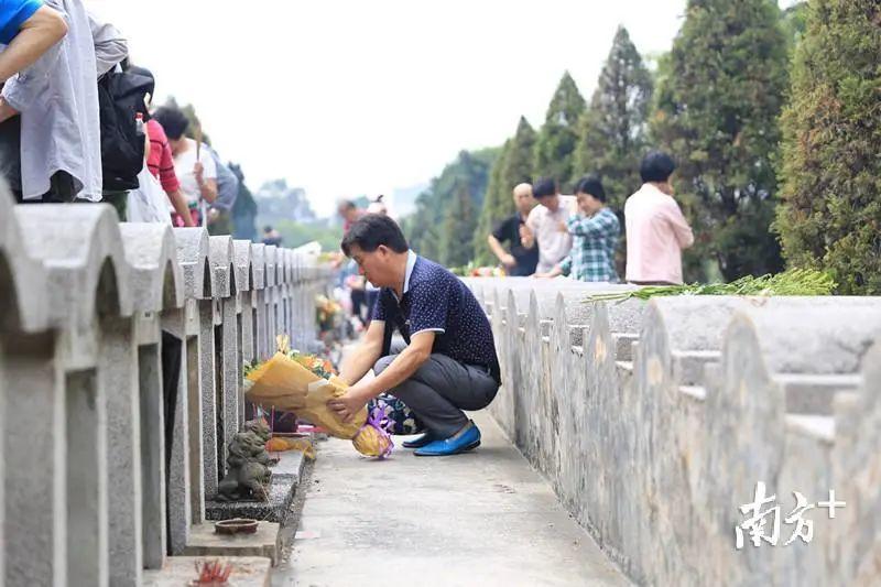 今年清明，东莞人还能去拜山吗？最新......
