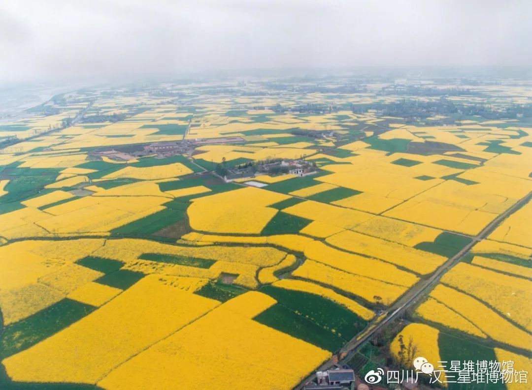 “太土豪了！”重大发现沸了！实拍震撼世界的谜