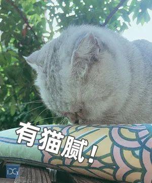 东莞紧急发文！这类行为全市叫停！