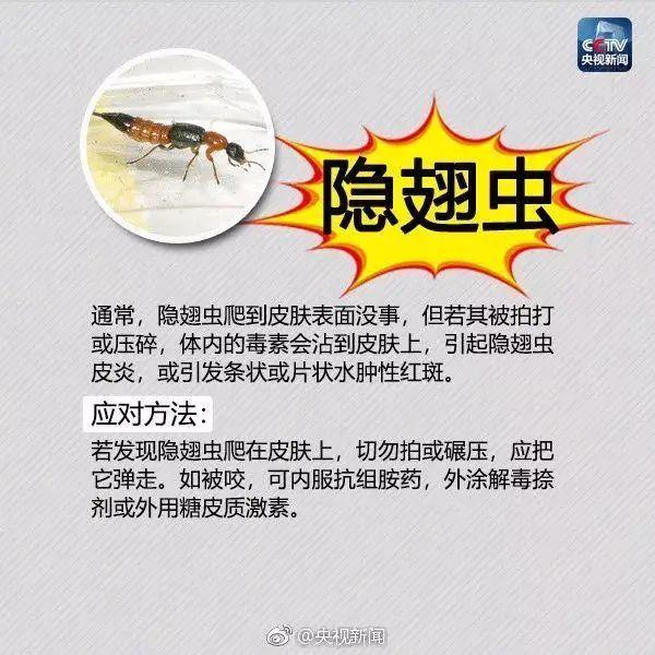 毛骨悚然! 东莞人看到这个小土堆千万别碰! 已有多人中招!