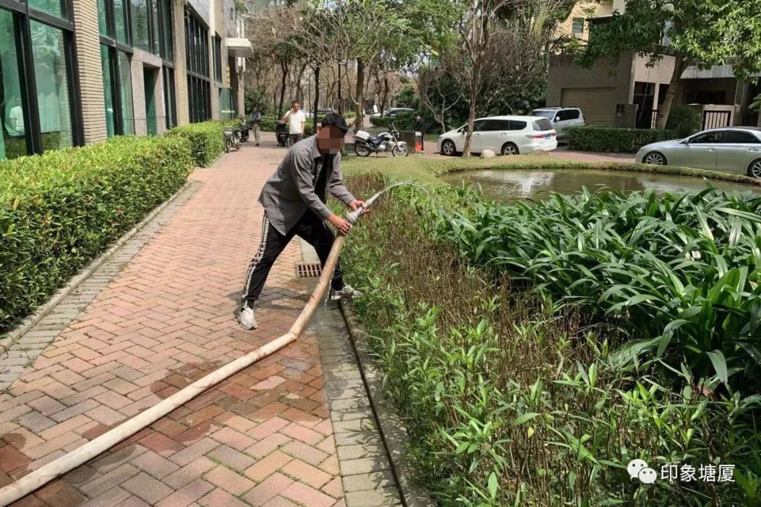 曝光！东莞这些车主、物业、企业摊上事了！
