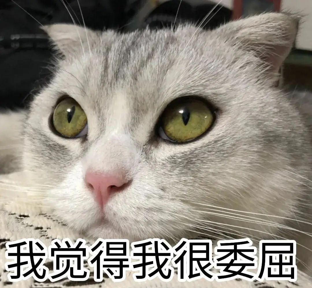回南天要杀到？新一波冷空气正待发货！最低温跌至……