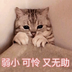 海底捞又出事了！这次东莞人真的怒了！