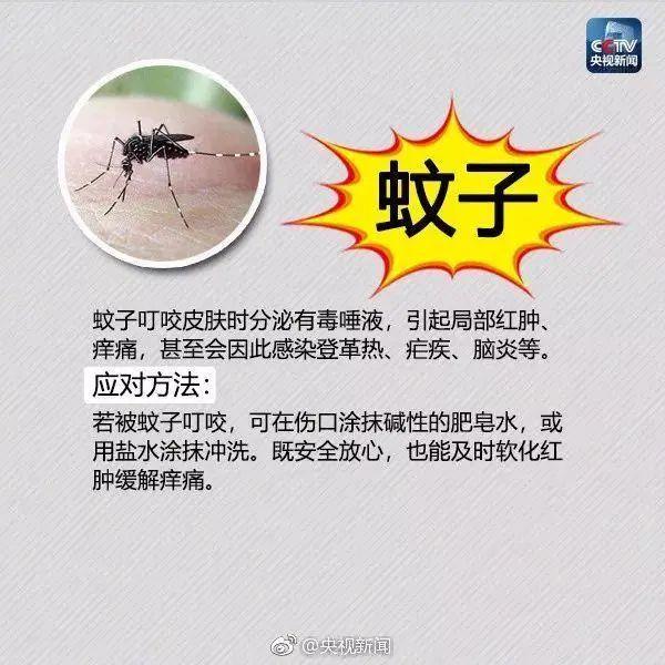 毛骨悚然! 东莞人看到这个小土堆千万别碰! 已有多人中招!