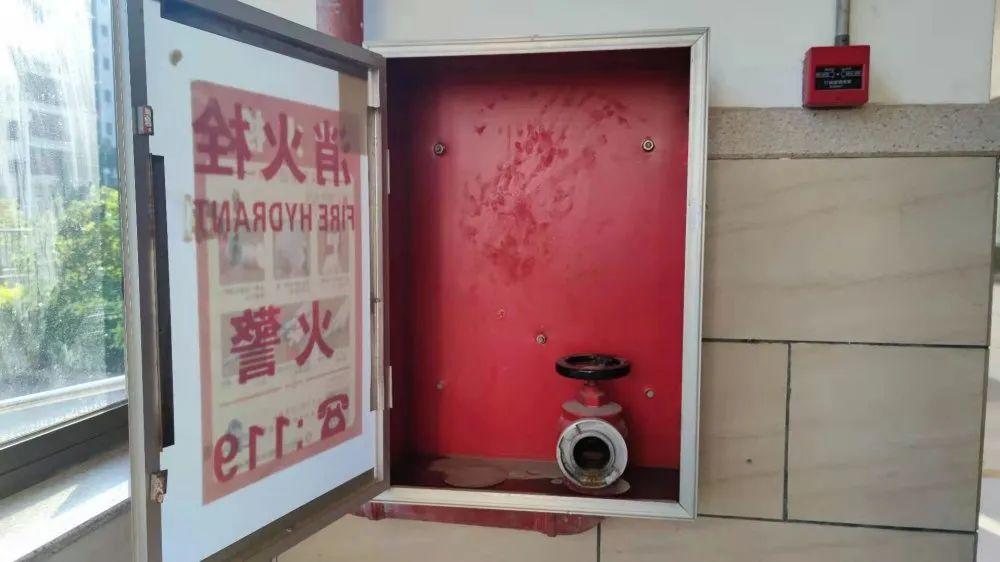曝光！东莞这些车主、物业、企业摊上事了！
