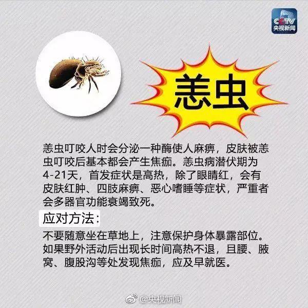毛骨悚然! 东莞人看到这个小土堆千万别碰! 已有多人中招!