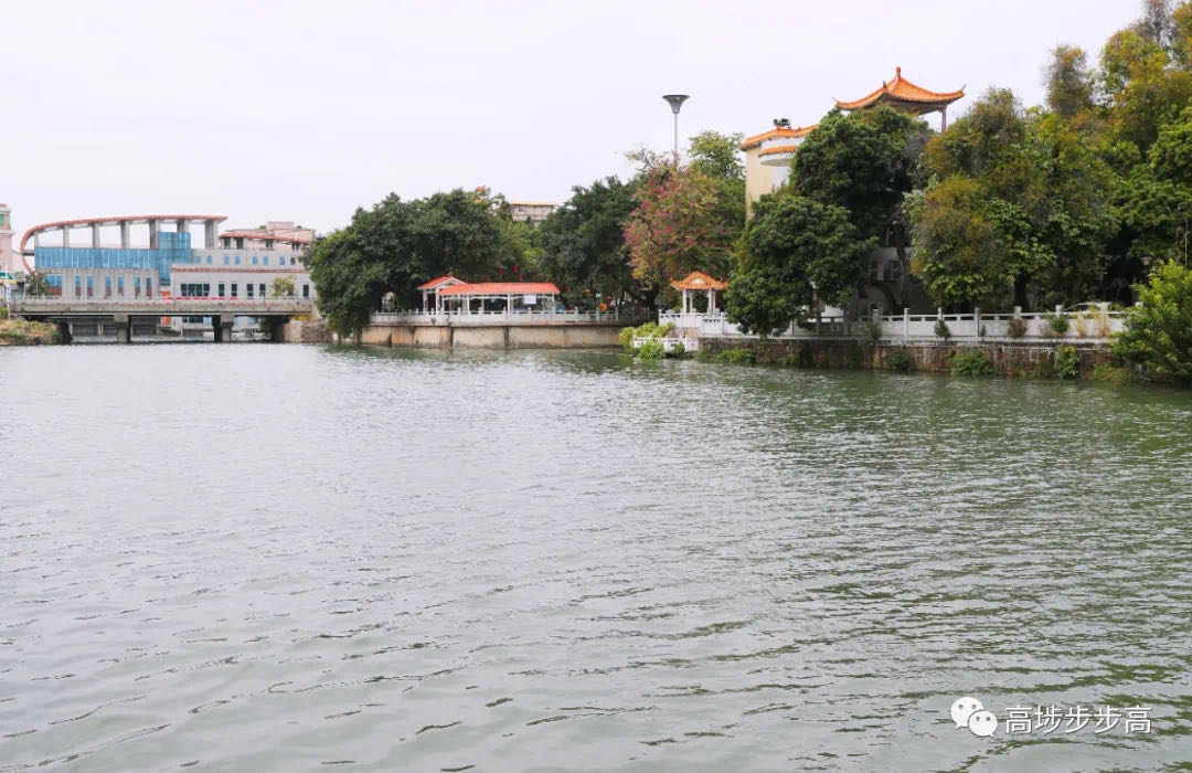 大大的赞！东莞这7条村被国家点名了！你条村上榜了吗？