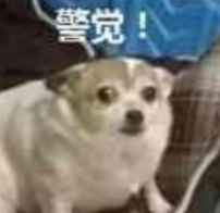 毛骨悚然! 东莞人看到这个小土堆千万别碰! 已有多人中招!
