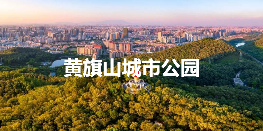 你好，我叫东莞，这是我的最新简历
