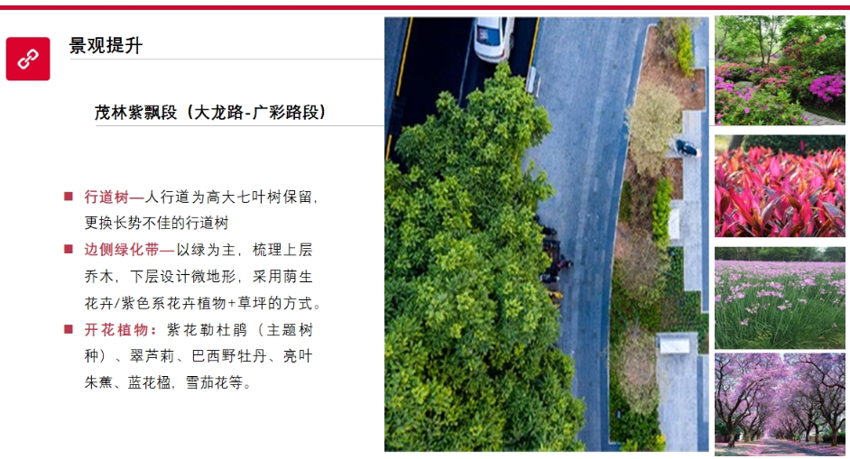 动工！双向8车道+5座人行天桥！东莞这条主干道将大变样！