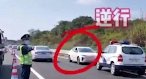 广东这名女司机火了！高速逆行！直怼交警！网友都炸了！