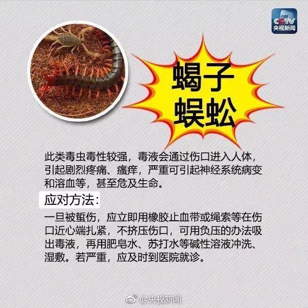 毛骨悚然! 东莞人看到这个小土堆千万别碰! 已有多人中招!