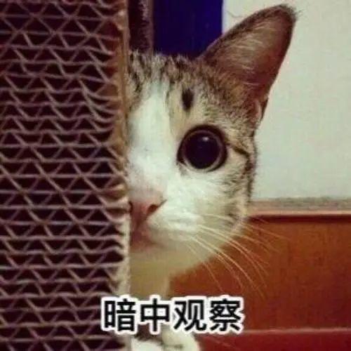 毛骨悚然! 东莞人看到这个小土堆千万别碰! 已有多人中招!