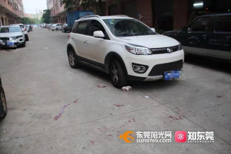 砰！东莞2名男童追逐打闹窜上马路，1人被撞倒地…