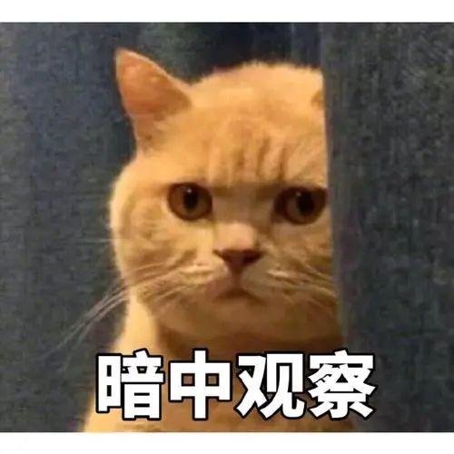 海底捞又出事了！这次东莞人真的怒了！