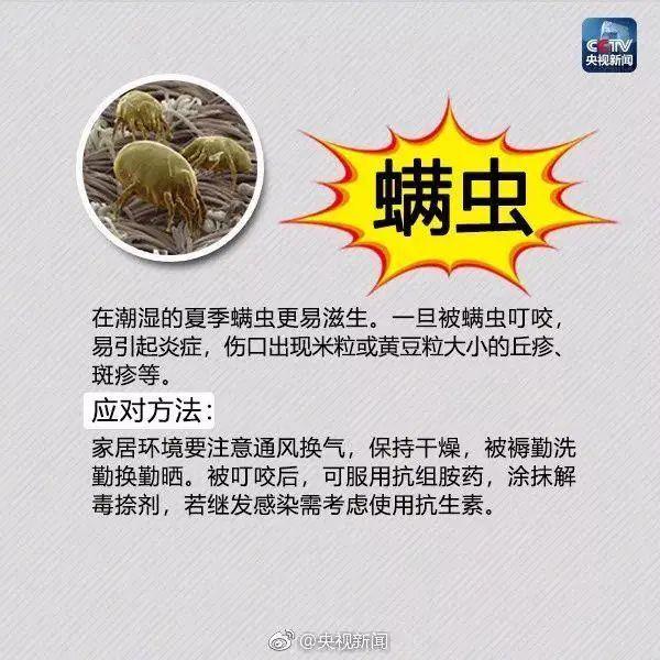 毛骨悚然! 东莞人看到这个小土堆千万别碰! 已有多人中招!