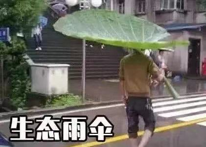 刚刚！东莞暴雨突袭！广东多地下冰雹！回南天什么时候走