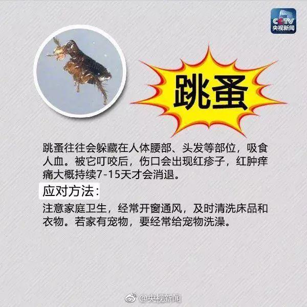毛骨悚然! 东莞人看到这个小土堆千万别碰! 已有多人中招!