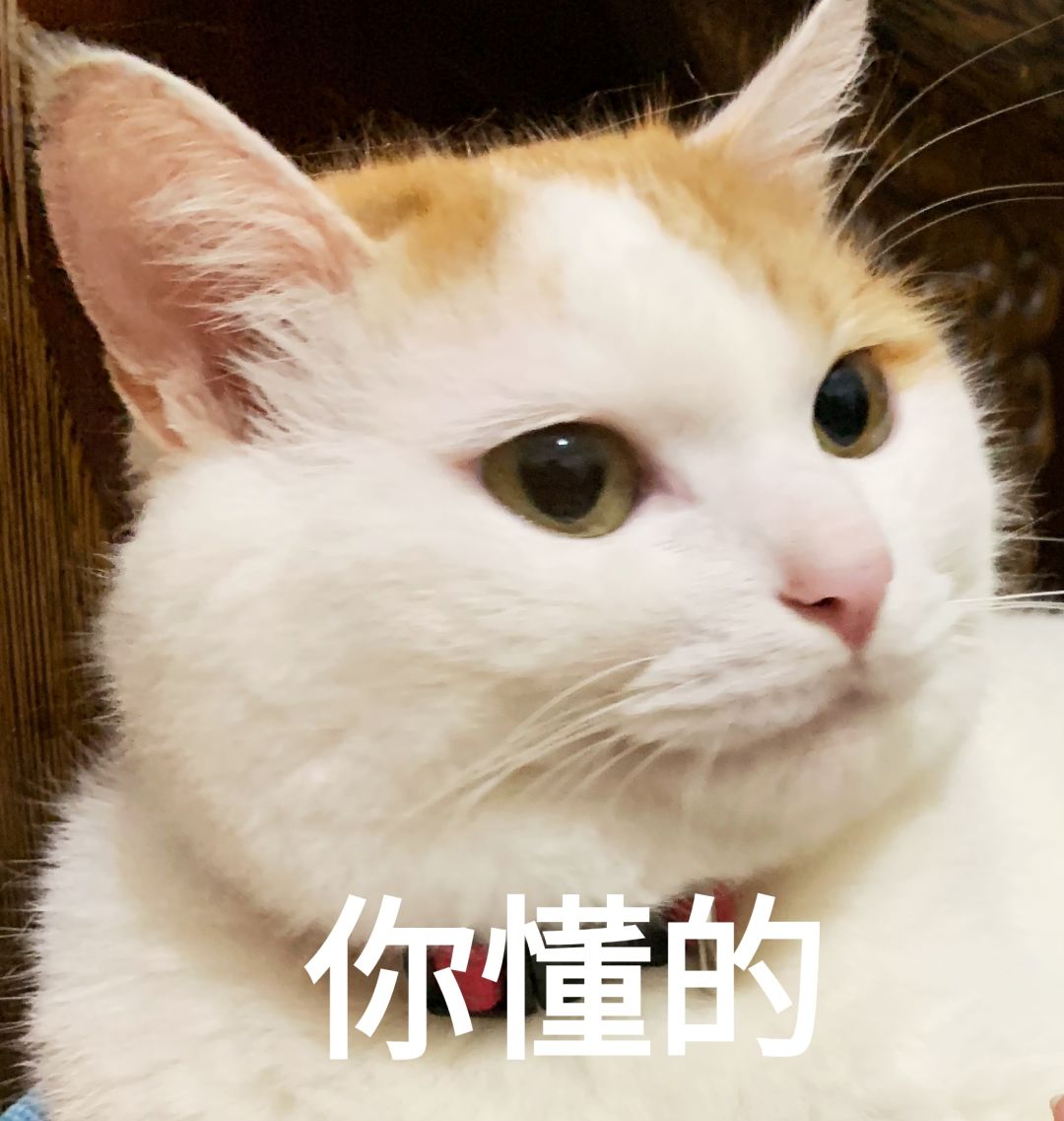 回南天要杀到？新一波冷空气正待发货！最低温跌至……