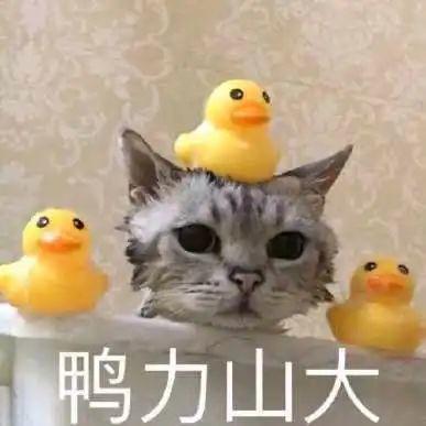 重磅! 东莞今年中考有大变化...