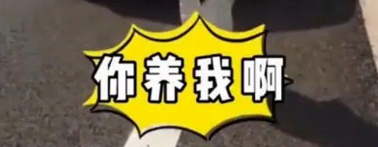 广东这名女司机火了！高速逆行！直怼交警！网友都炸了！