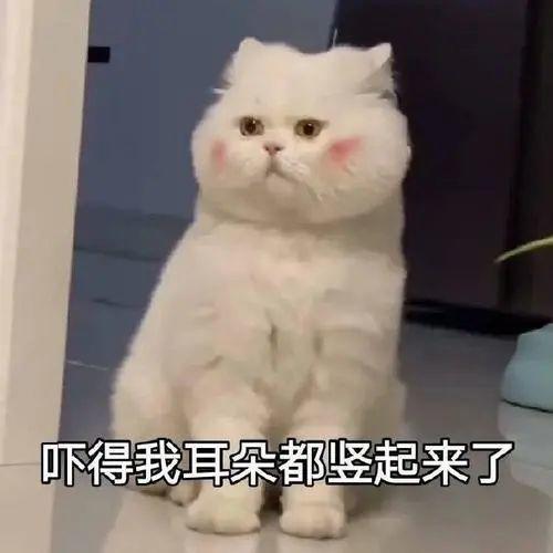 海底捞又出事了！这次东莞人真的怒了！