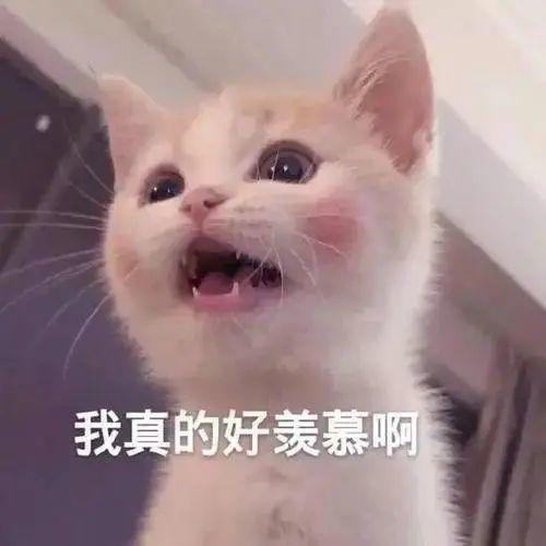 发达! 东莞一地每户分近400㎡安置房? 这次有你吗?