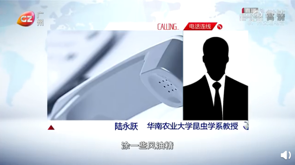 东莞人注意！近期尽量别穿黄色、绿色、银灰色衣服出街！否则…
