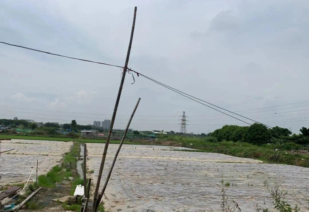 发达! 东莞一地每户分近400㎡安置房? 这次有你吗?