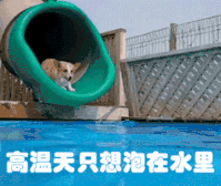 热热热！东莞堪称“夏威夷”的网红游泳池将开放啦！低至19.9元！