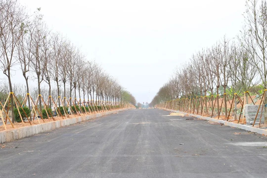 计划年底建成！东莞将再添一座跨江大桥！