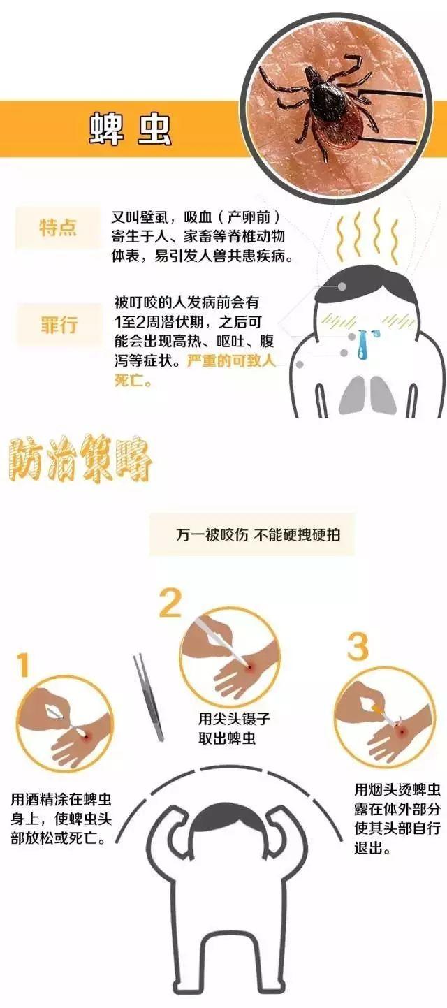 头皮发麻！最近很多东莞街坊吓得不敢开灯……
