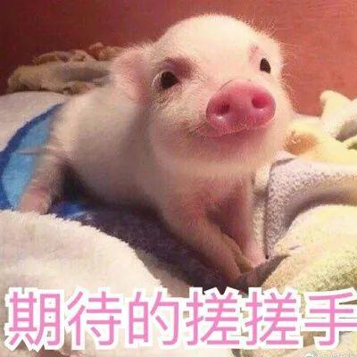发达! 东莞一地每户分近400㎡安置房? 这次有你吗?
