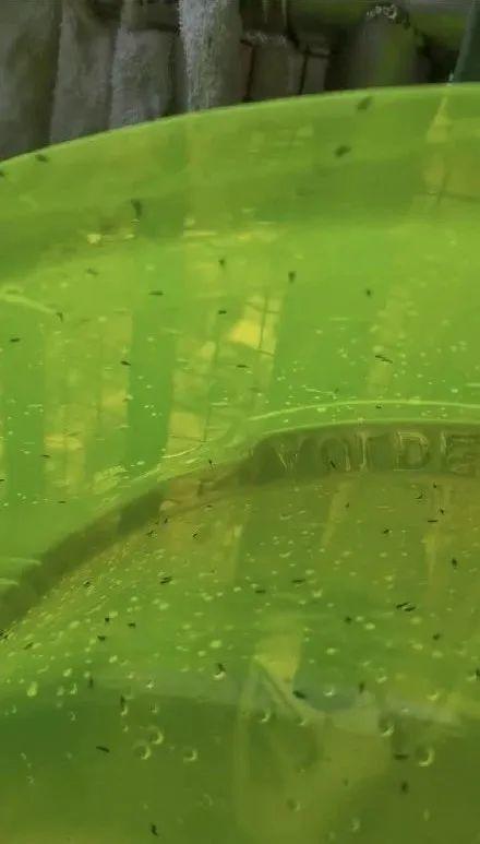 东莞人注意！近期尽量别穿黄色、绿色、银灰色衣服出街！否则…