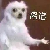 这两位女司机火了！宝马大战本田！打架原因竟是…