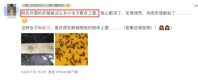 东莞人注意！近期尽量别穿黄色、绿色、银灰色衣服出街！否则…